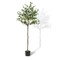 5FT Artificial Olive Tree with Pot, Fake Potted Olive Tree for Indoor Outdoor Decor
